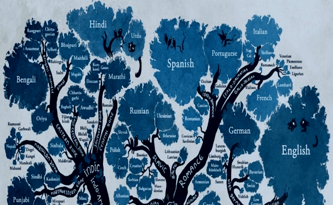 lenguas aglutinantes, tipos y ejemplos