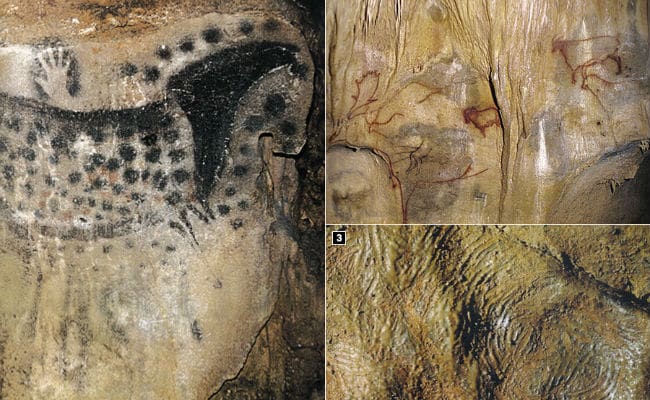 sahelanthropus tchadensis características culturales