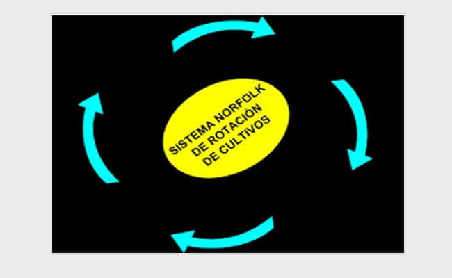 sistema norfolk definicion