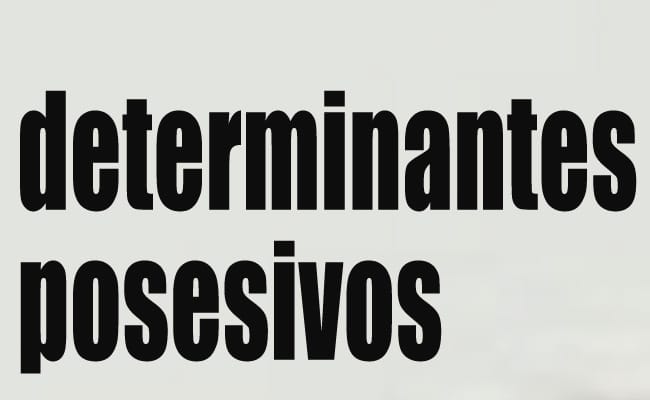 determinantes posesivos