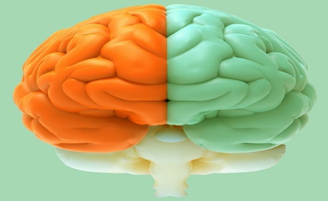 funciones de los hemisferios del cerebro
