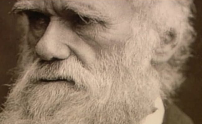 teorías de la evolución