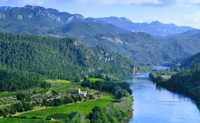 cuáles son los principales ríos del continente europeo