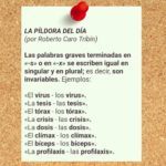 Píldora del día palabras invariables